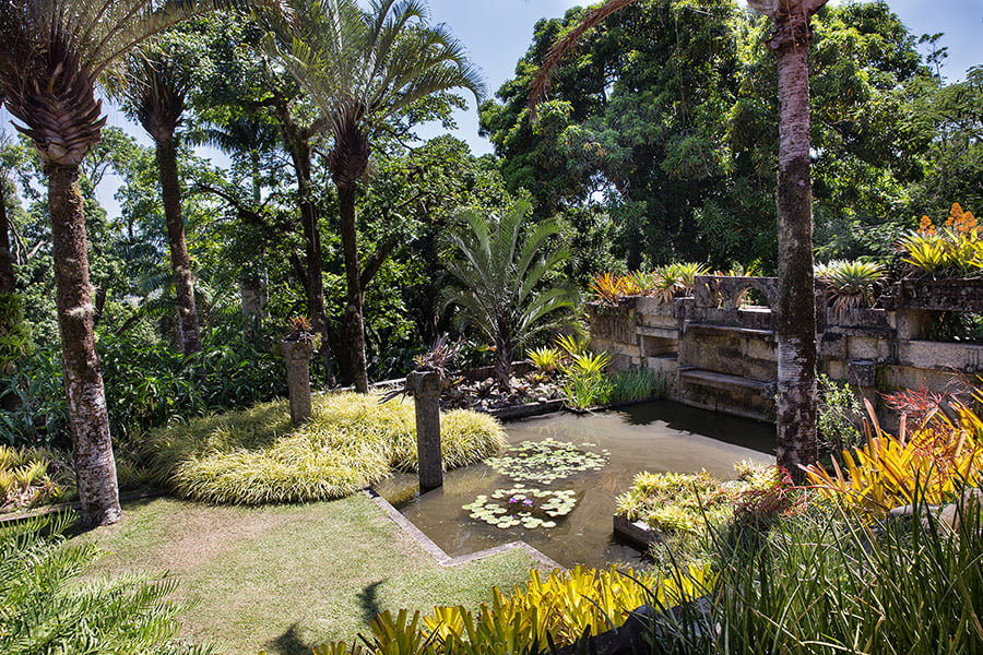 LIVING ART ROBERTO BURLE MARX NY Botanical Garden