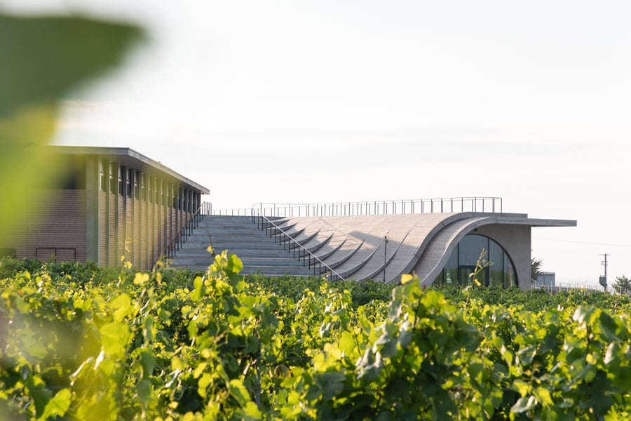 The Lahofer Winery Celebrates Winemaking in Concrete