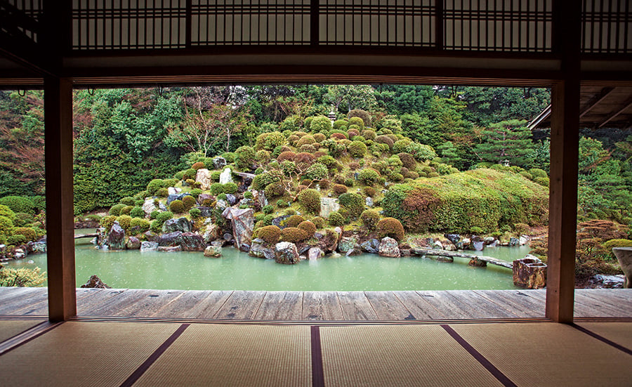 Sophie Turner Japanese Garden|Sophie Turner Japanese Garden|Sophie Turner Japanese Garden|