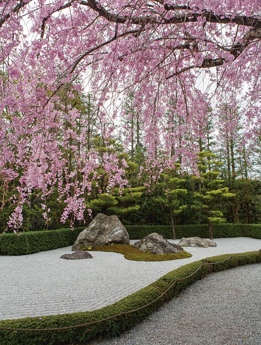 Sophie Walker Japanese Garden