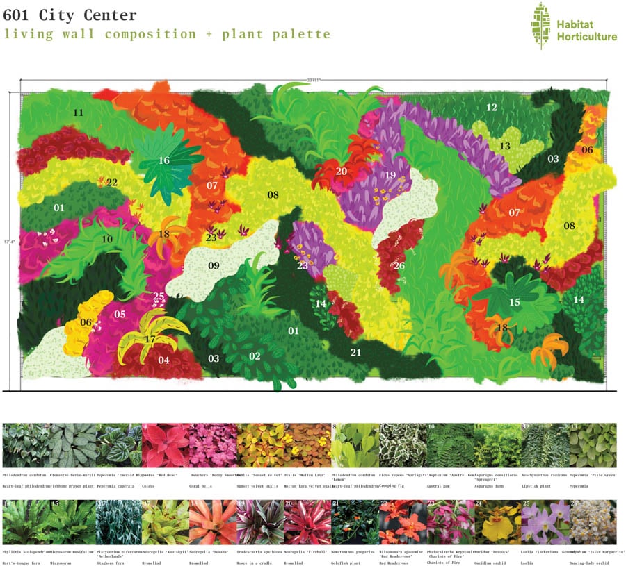 601 City Center Plant Palette Type