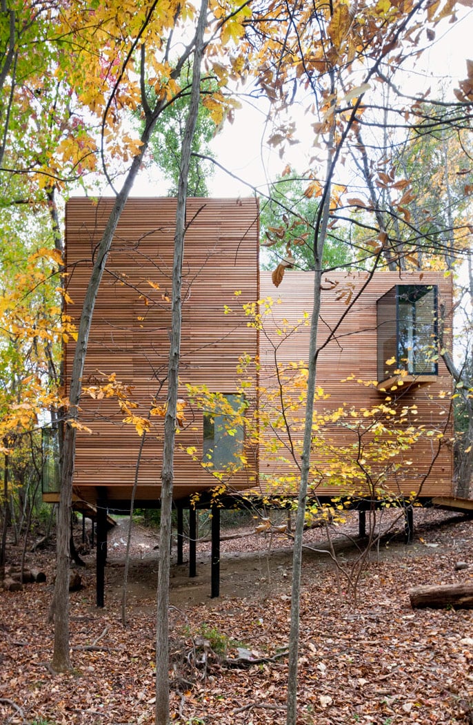 Steven Holl profile