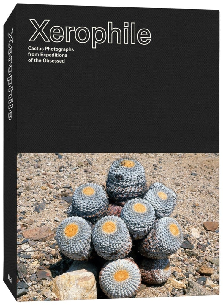 Xerophile: Cactus Photographs from Expeditions of the Obsessed fall books preview 2017