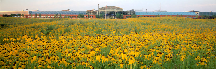 Herman Miller GreenHouse sustainable practices