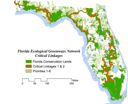 floirda-ecological-greenway