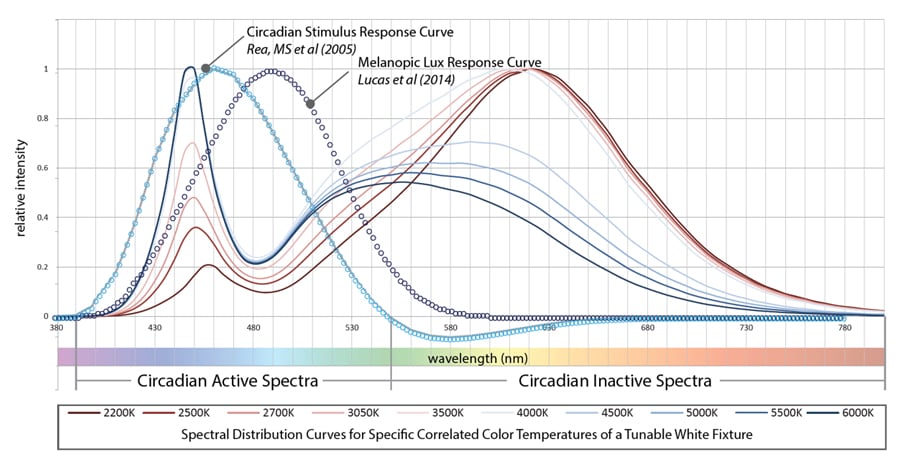 Circadian Lighting Survey