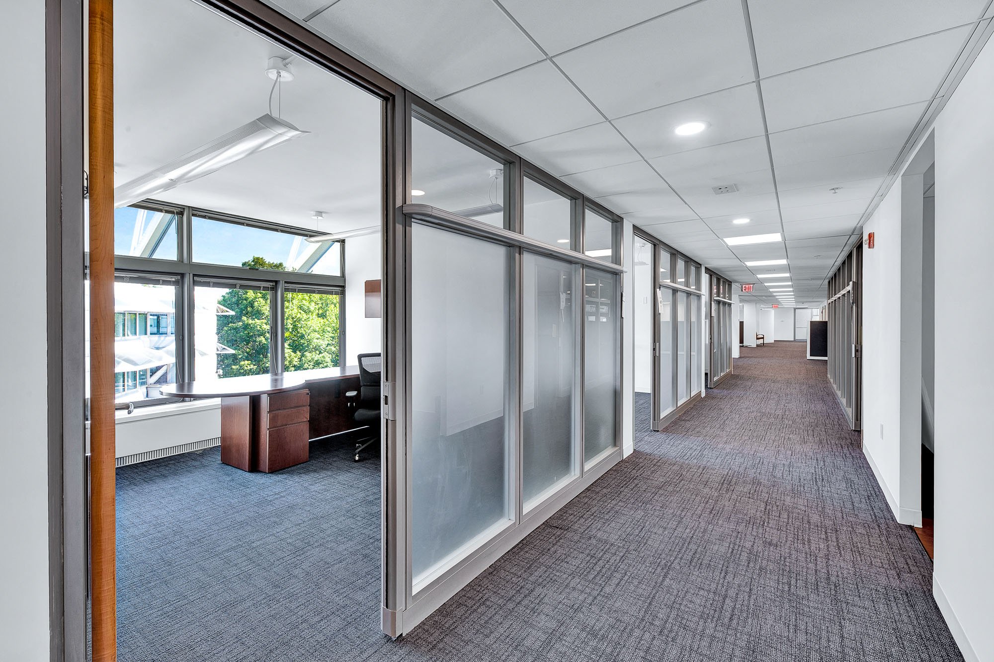 Interior office space with carpeted floor