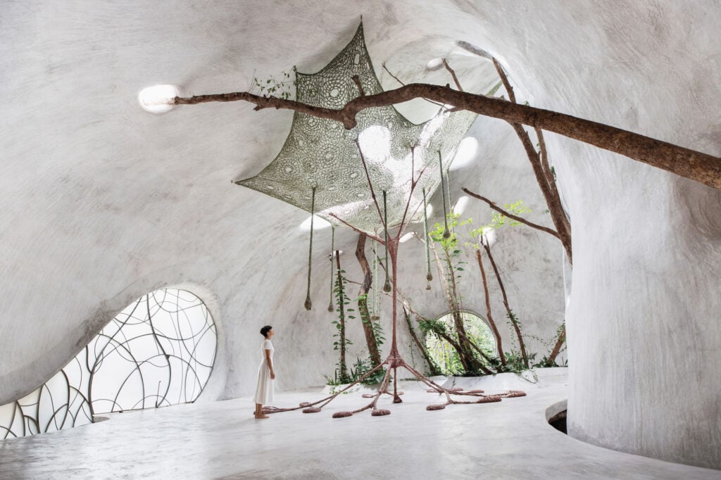 cement interior with skylights and living plants