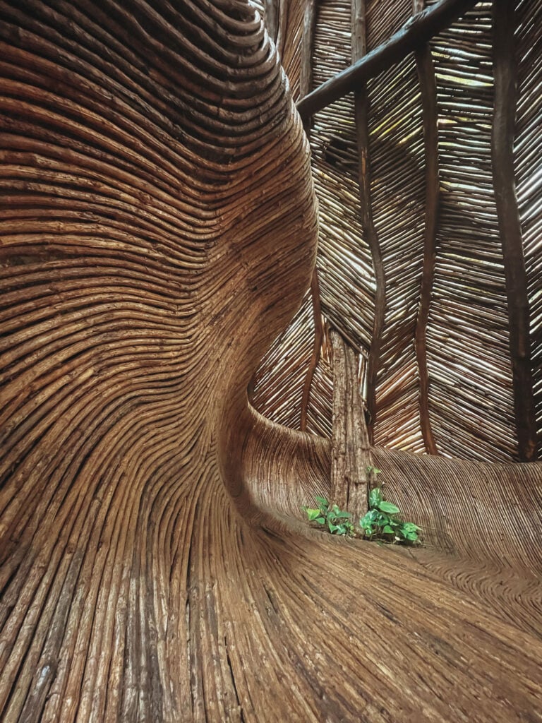 interior made of biomorphic wood pieces