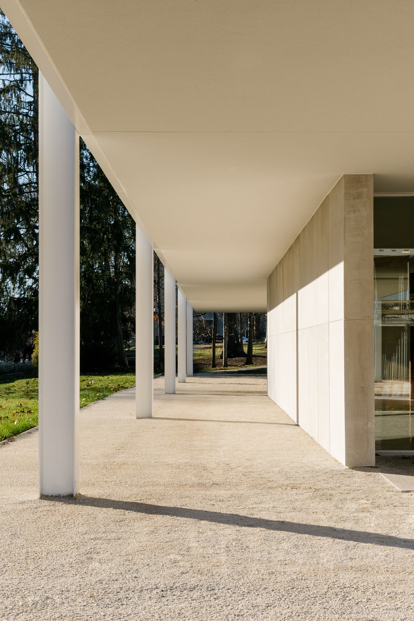 ground floor columns on new building