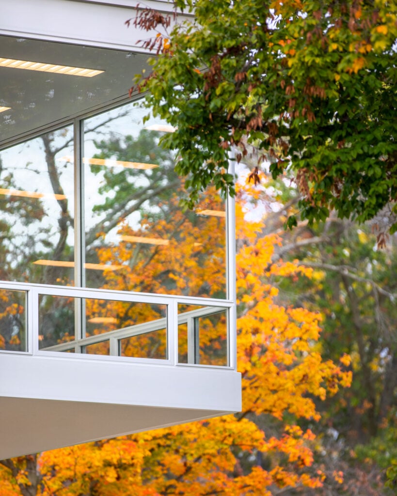 autumn foliage viewed through a corner of the mies-designed building