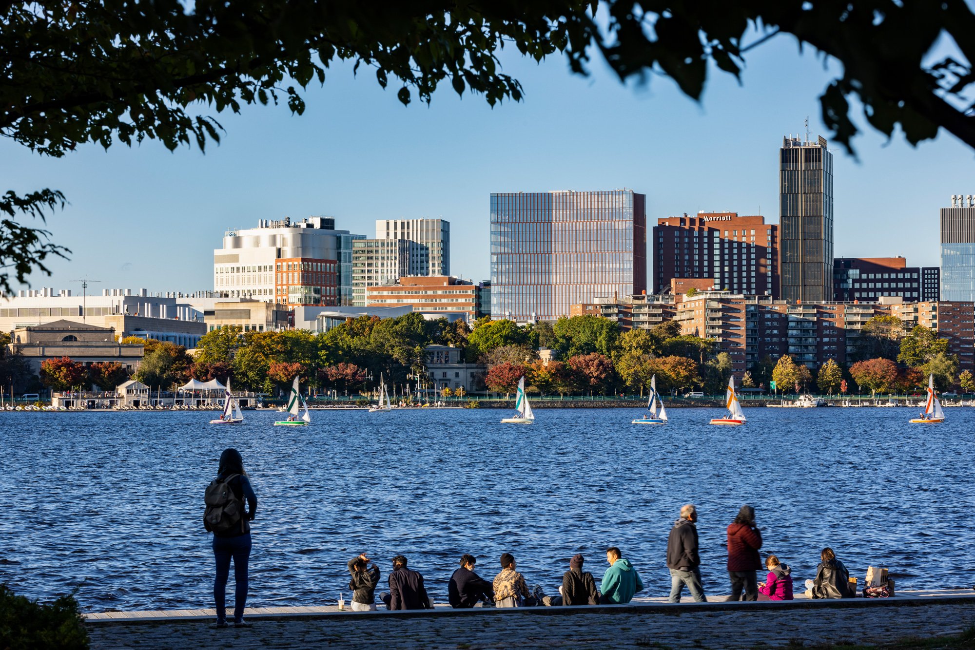 view of MIT buildings across the river, sailboats on the river and people sitting on the bank