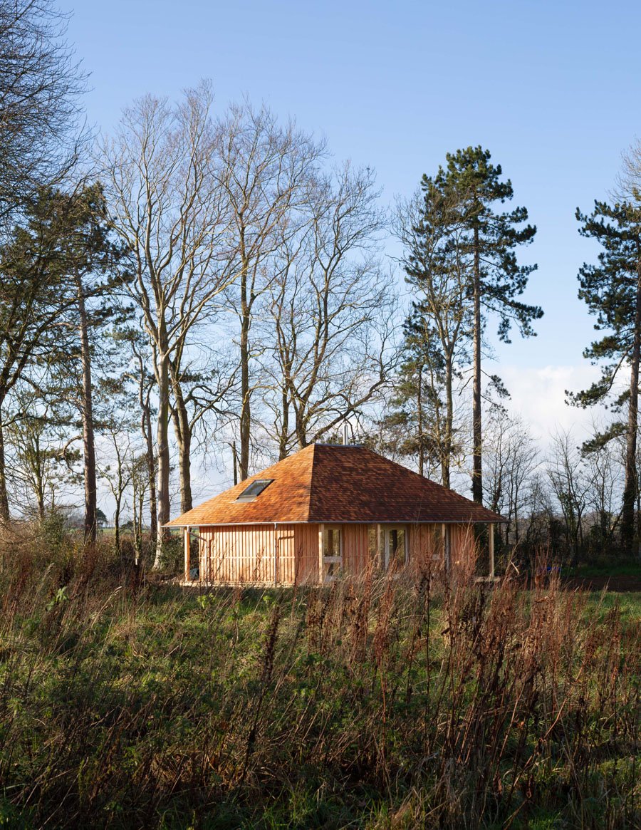 image of an exterior of a house in a forrest made of hempcrete