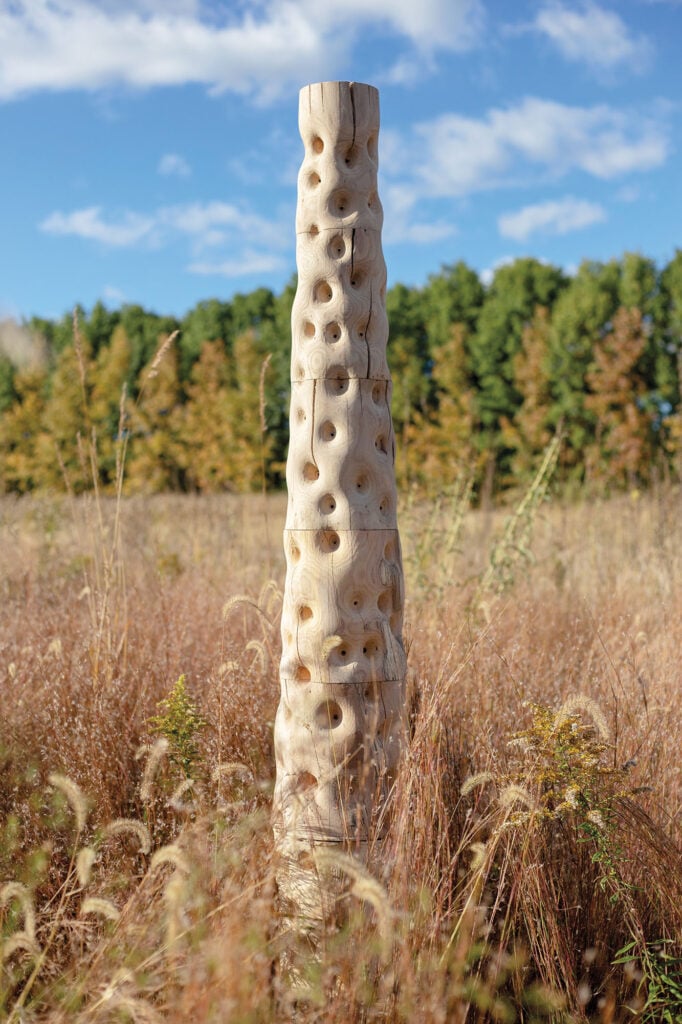 wooden column in a field