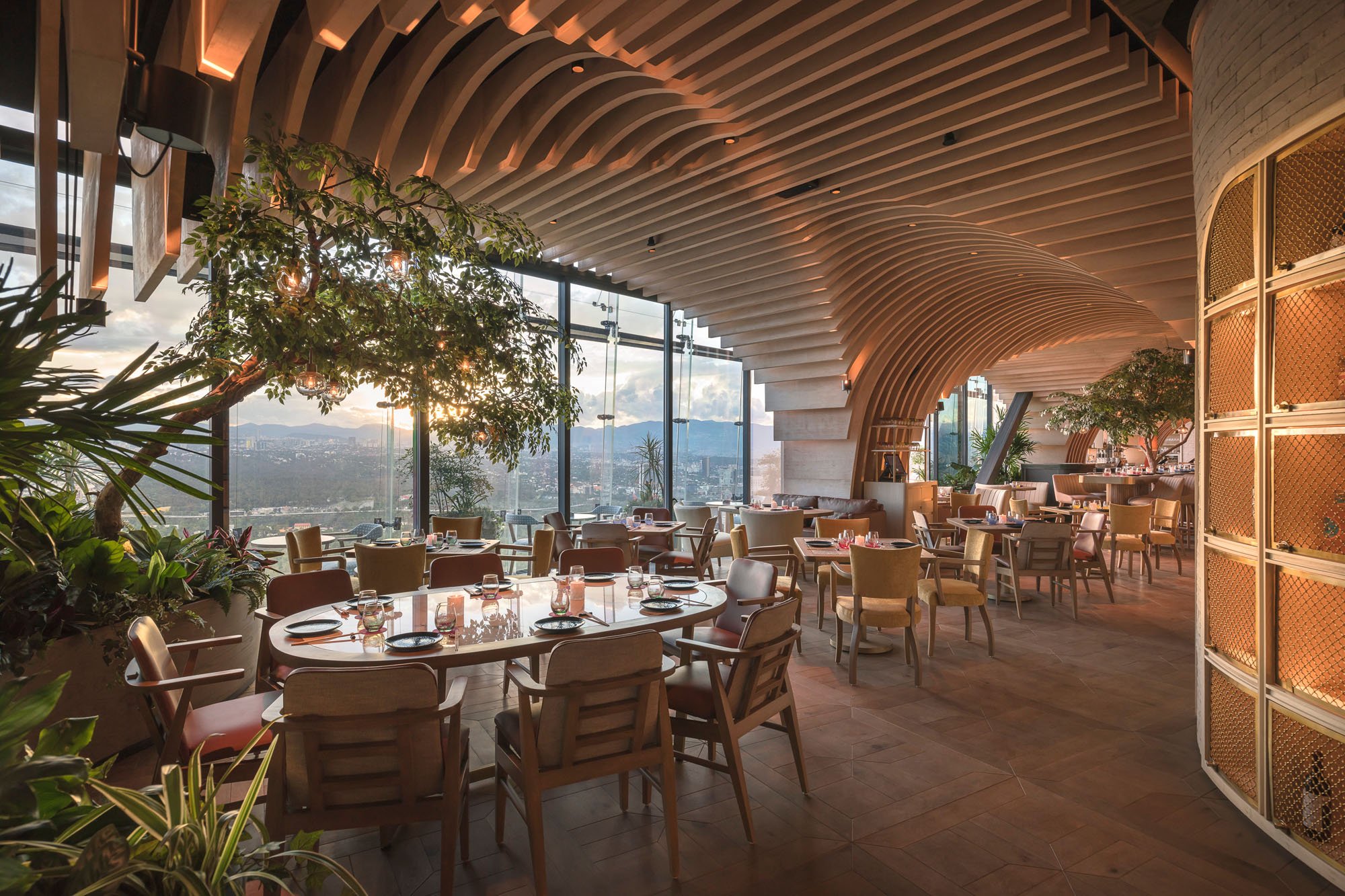 Dining room with plants in Mexican restaurant.