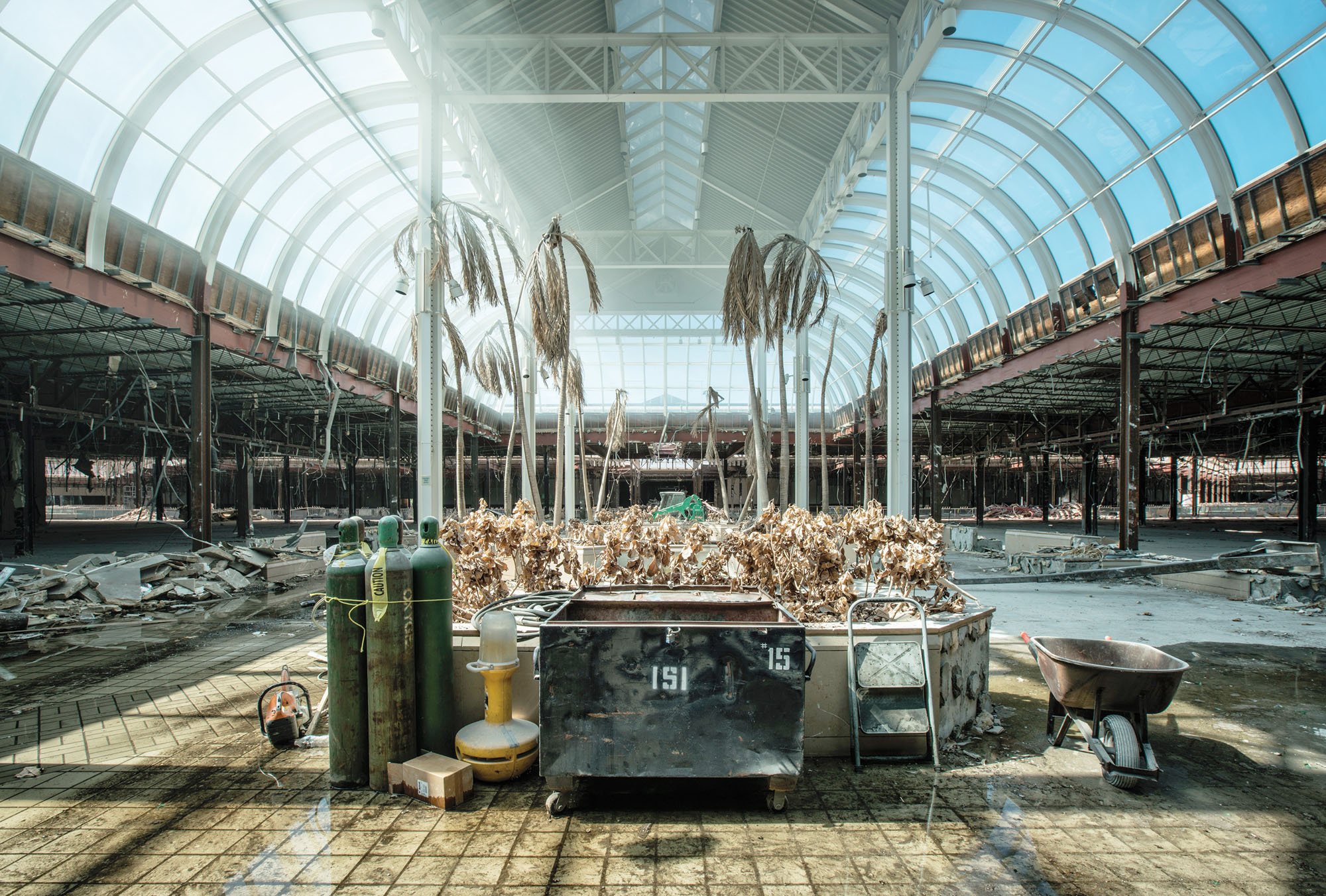 Death Of Shopping Malls - Mall Of America Popularity