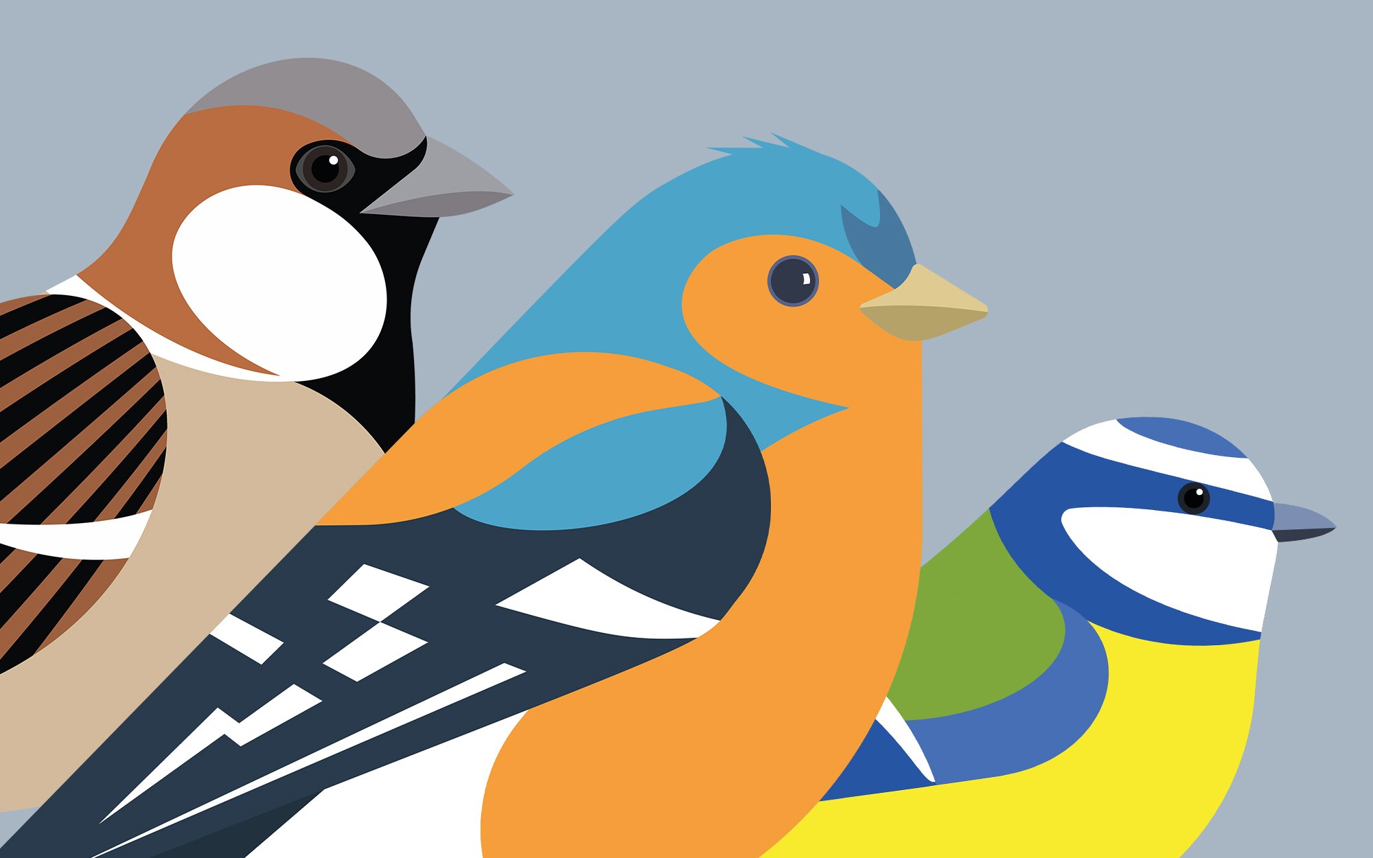 illustrated image of three colorful birds standing next to each other, for Earth Day