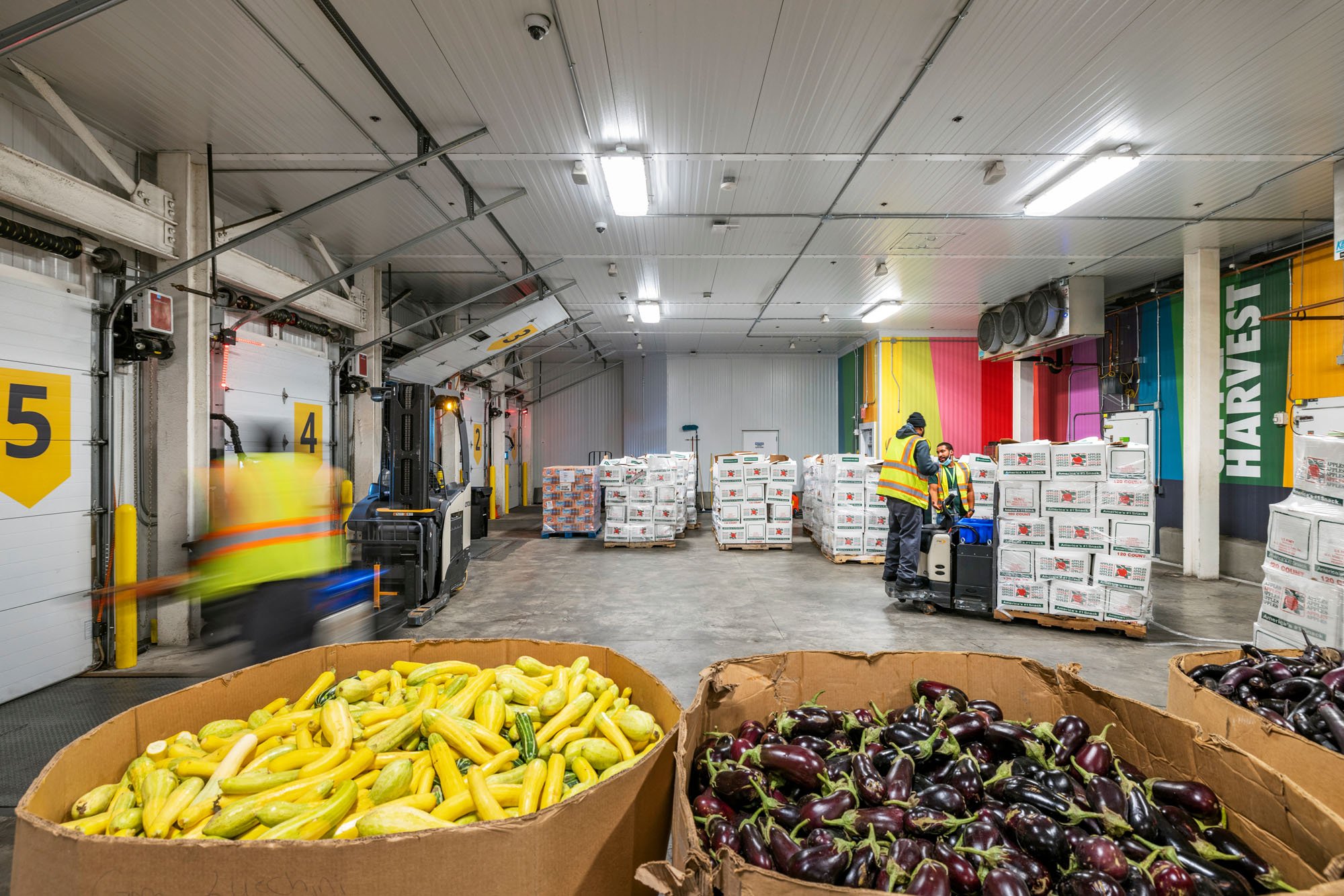 a photograph of a cold storage room with tubs of vegetables in the foreground and workers in the background