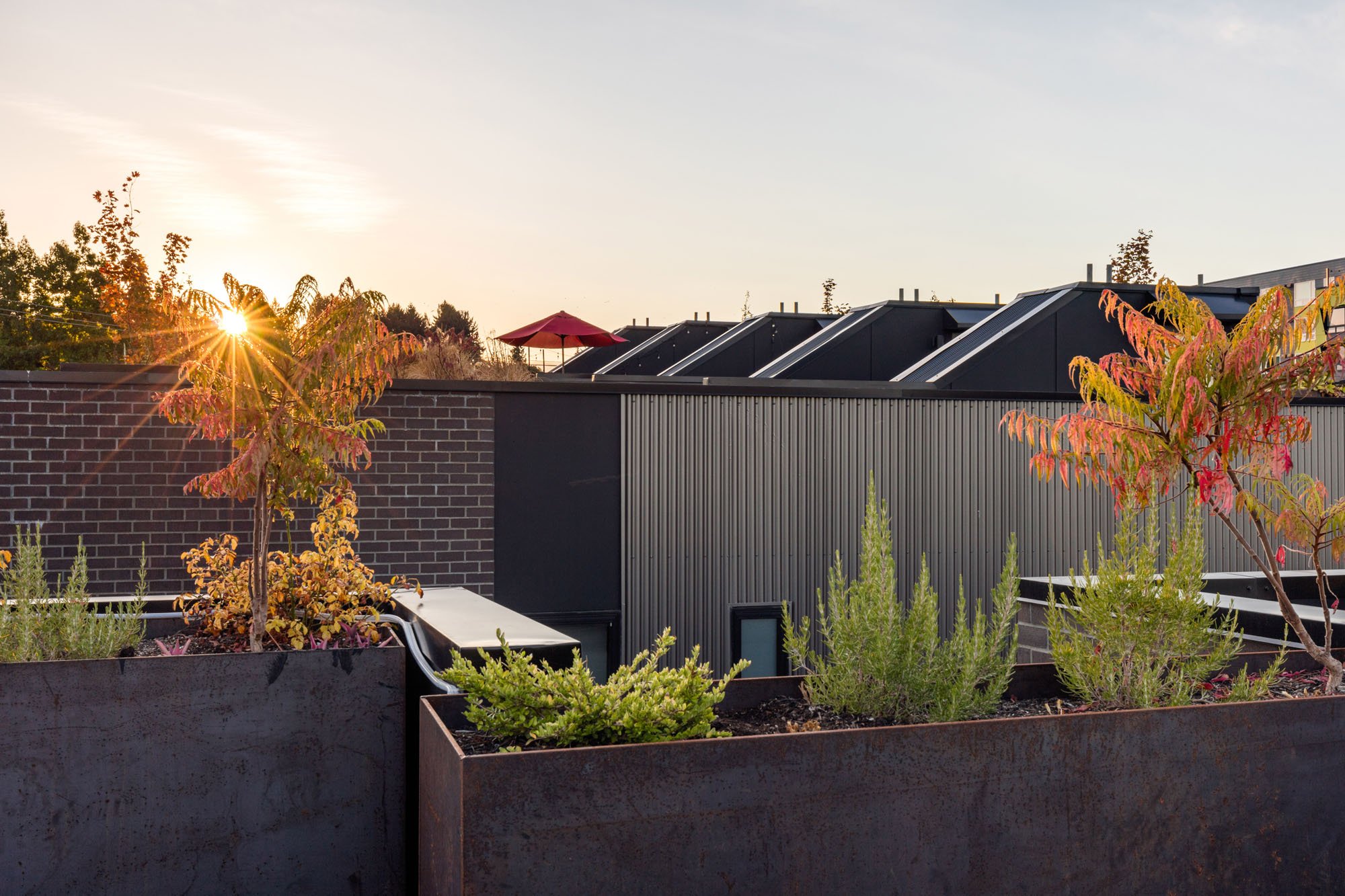 Wittman Estes - Capitol Hill Courtyard Garden Focused on