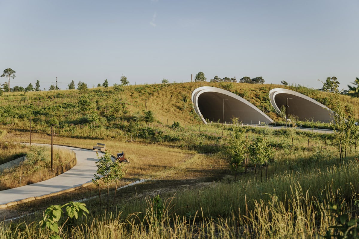 Memorial Park's New Eastern Glades Provides An Urban Wilderness