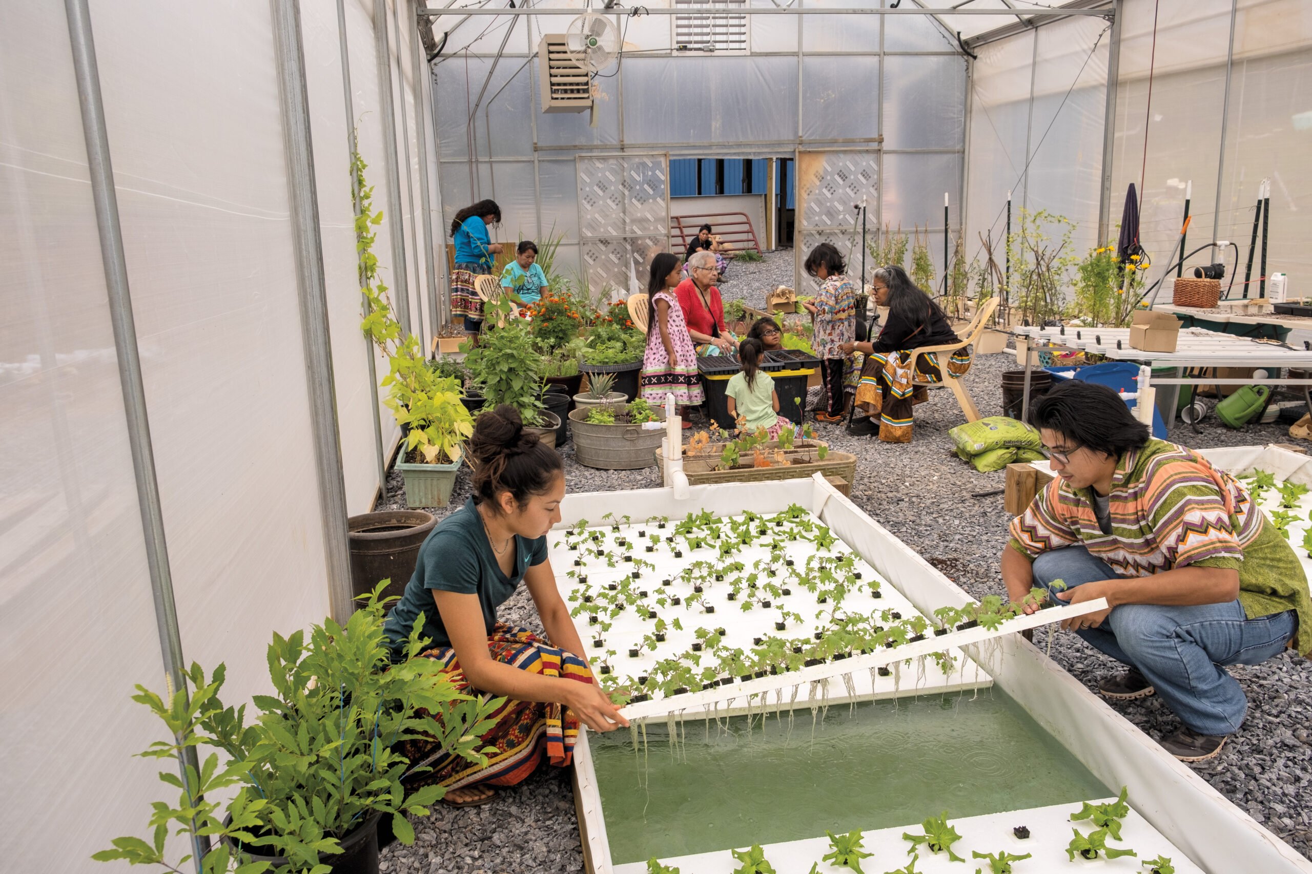 image of multiple people in a greenhouse