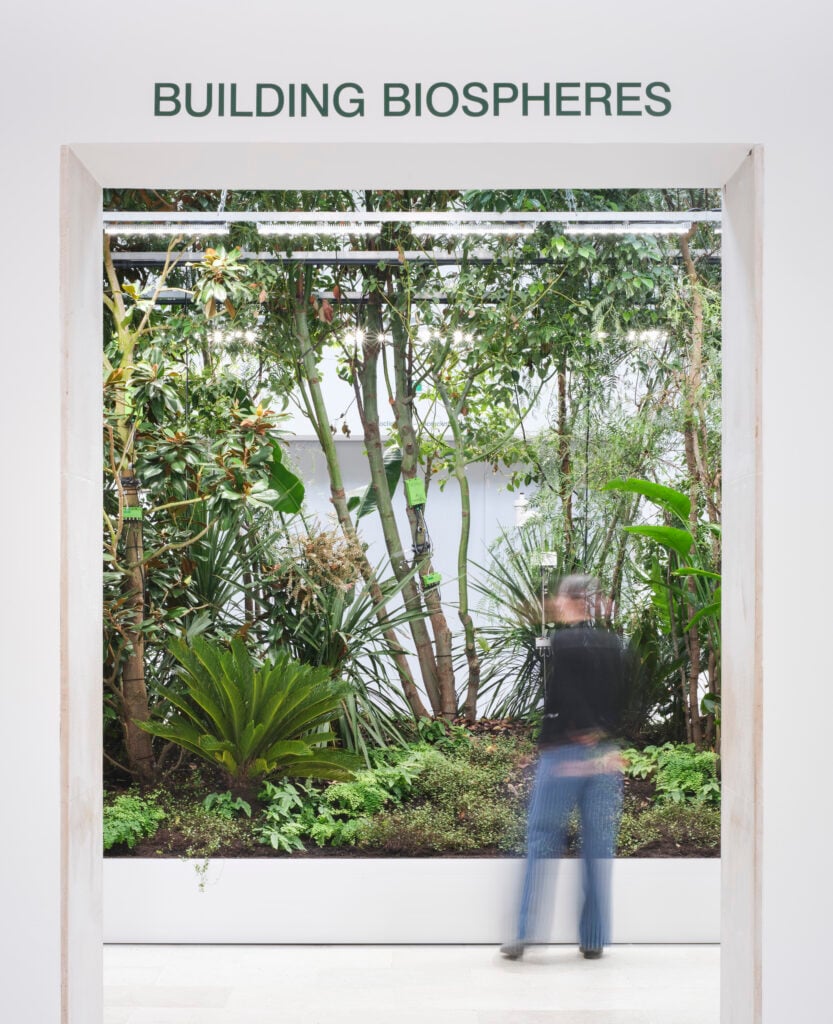Building Biospheres, Belgium Pavilion.