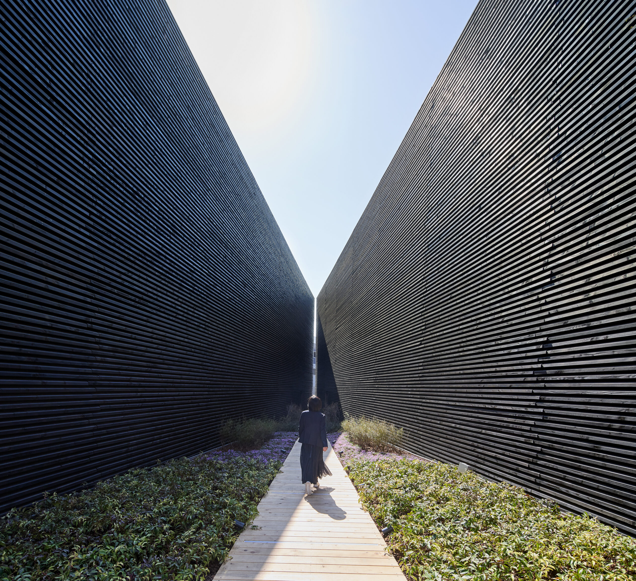 Lessons in Global Design from Expo 2025 Osaka - Metropolis