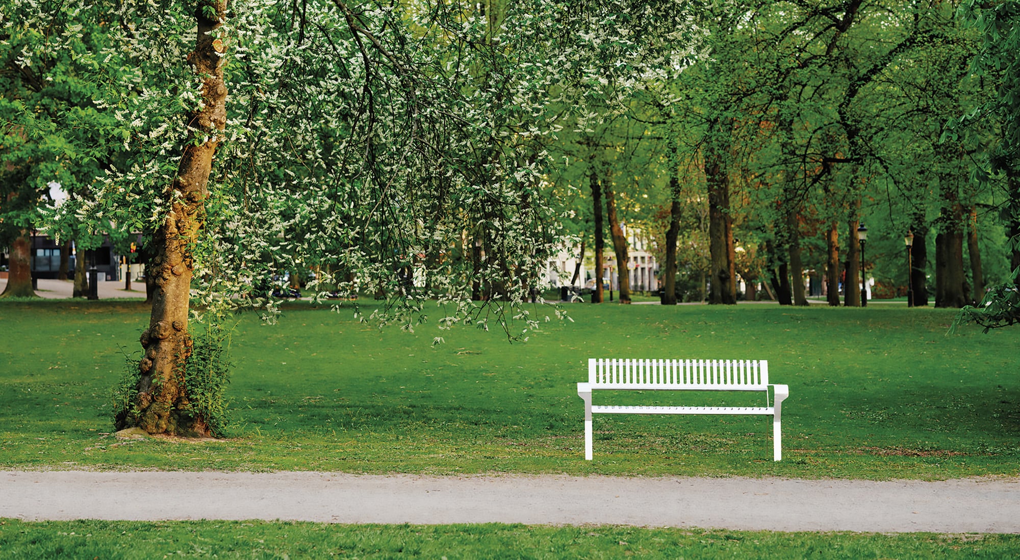 An outdoor bench made completely with fossil-free steel placed in the walkway of a public park. 