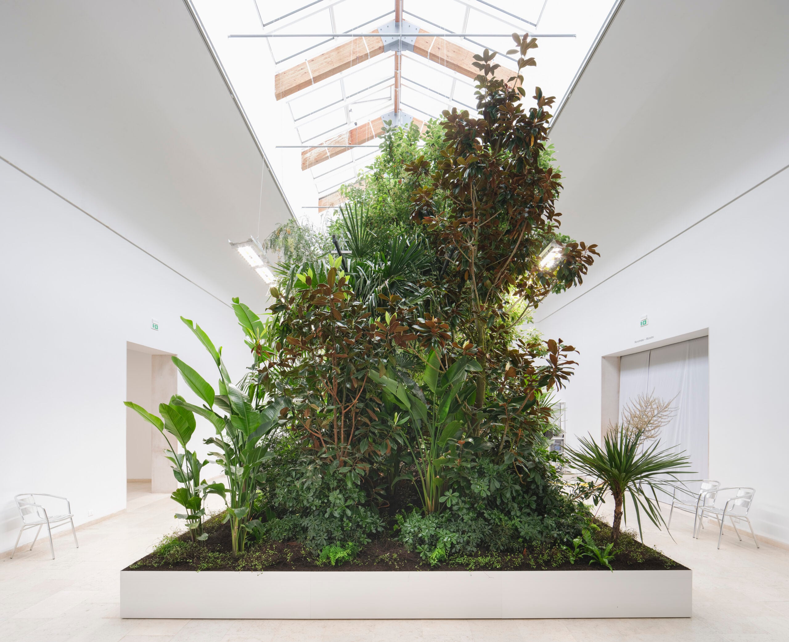 image of a giant planter inside of an all white room