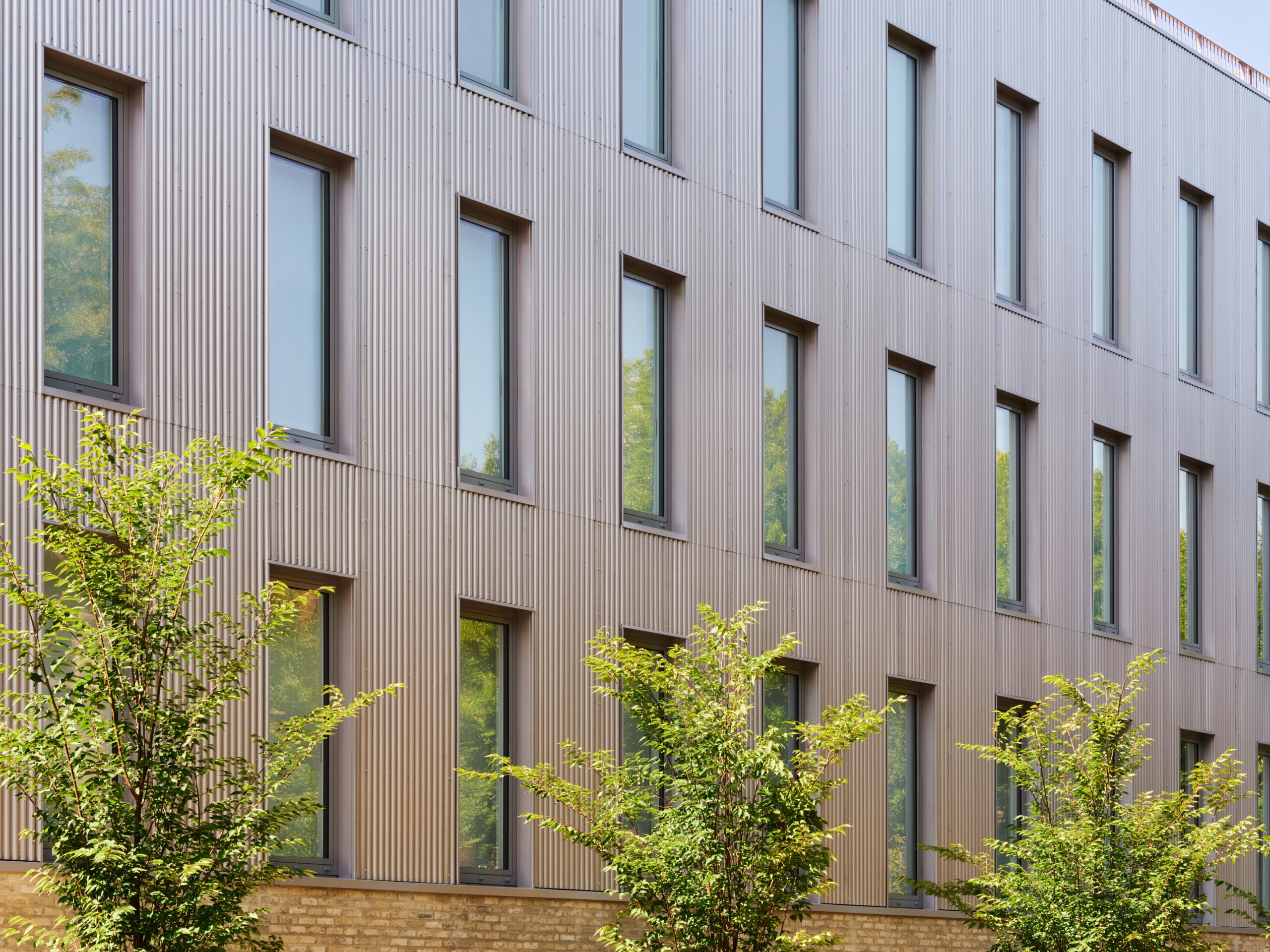 A close-up view of the building's exterior showing vertical grey corrugated siding and a row of tall, narrow rectangular windows. Green tree branches partially obscure the view.