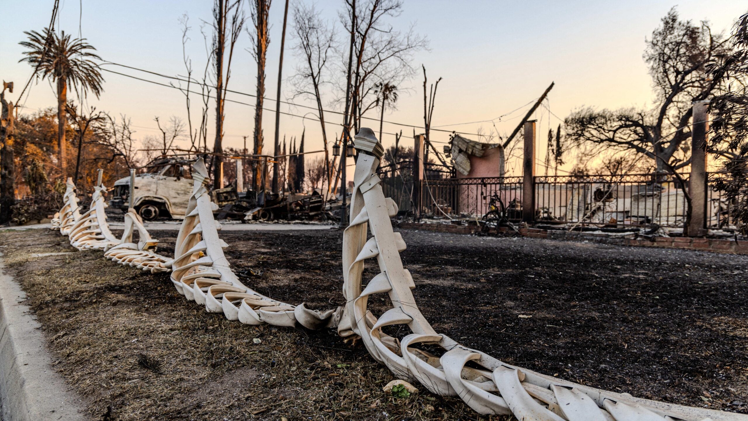 Pacific Palisades, California, USA. 10th Jan, 2025. A gate melted in the Eaton fire looks like the spine of a large creature.