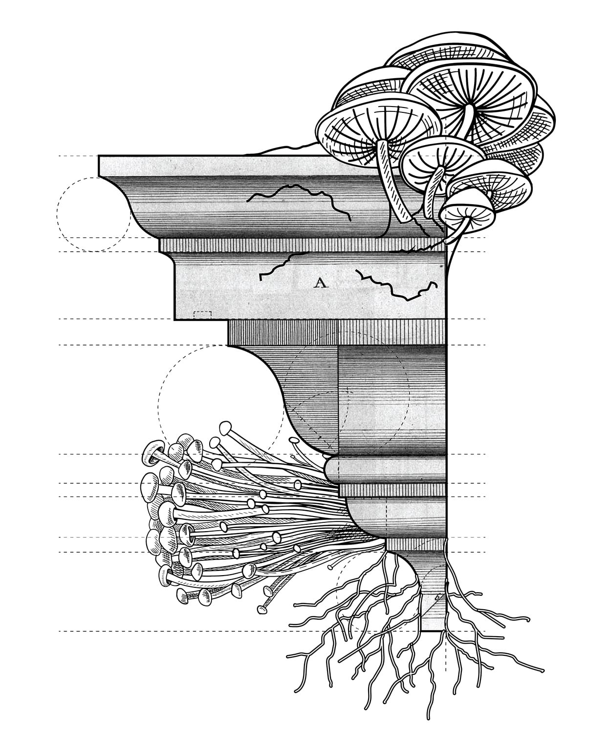 b&w drawing of mycelium growing from built environment