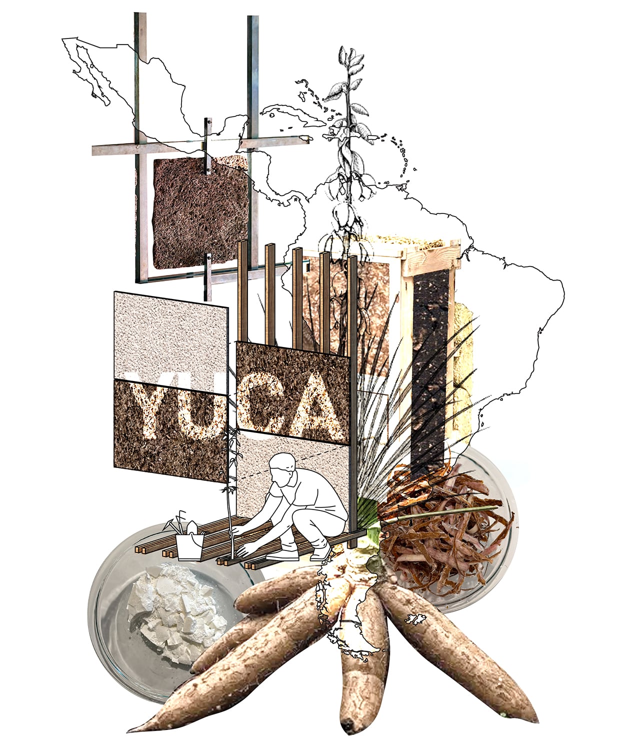 Drawing and diagram of yuca-based biopolymers made of tuber starch, pulp and skin