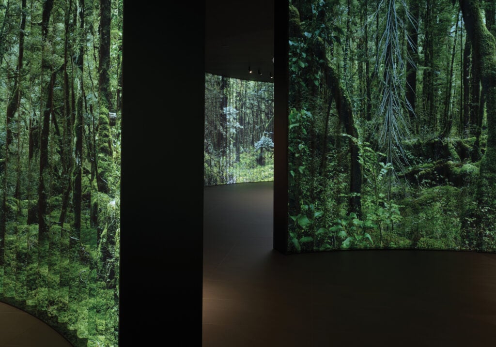 A dark room with large, curved screens displaying vivid images of a dense forest and green foliage—an immersive nod to sustainable products featured during Milan Design Week.