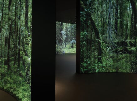 A dark room with large, curved screens displaying vivid images of a dense forest and green foliage—an immersive nod to sustainable products featured during Milan Design Week.