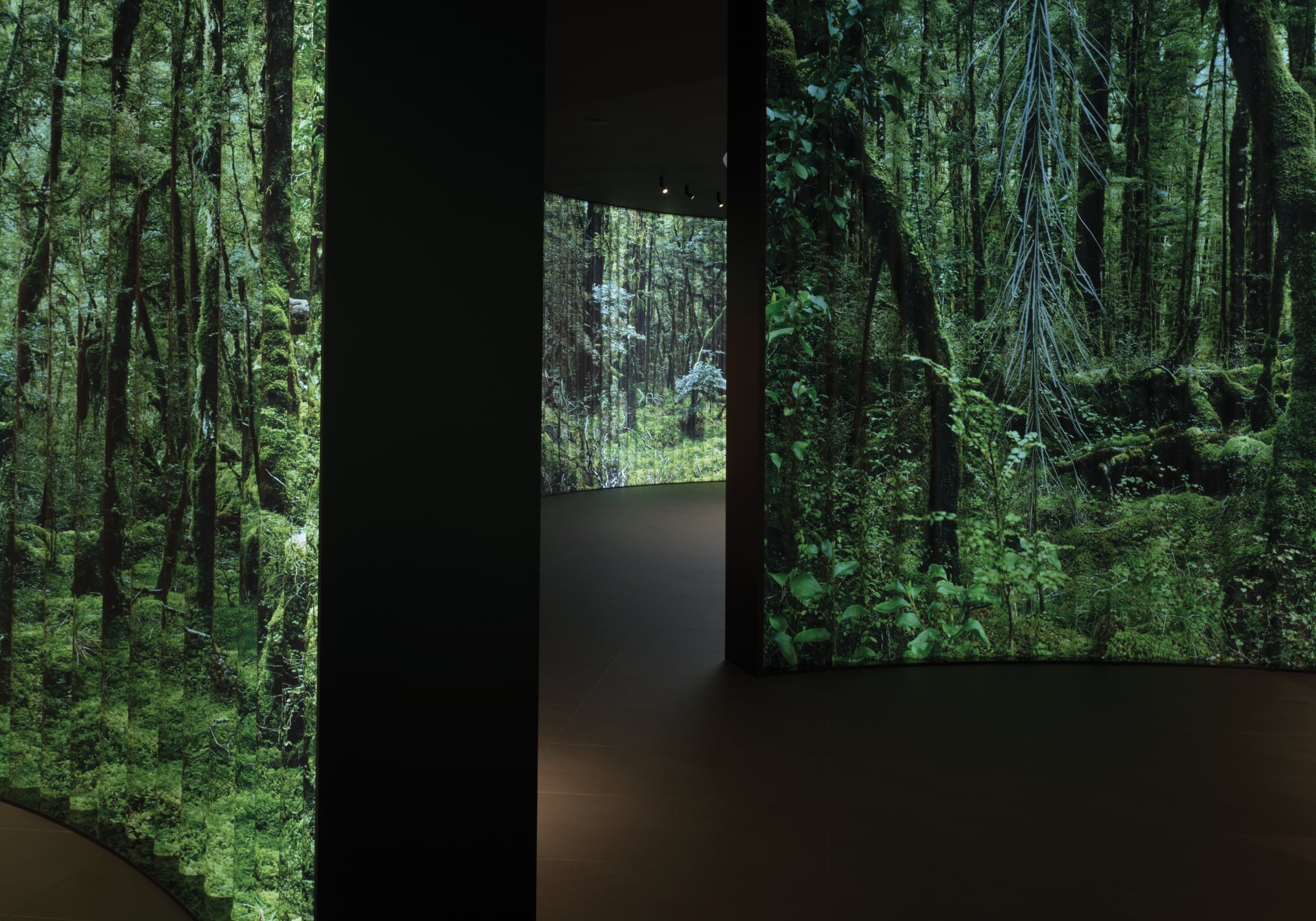 A dark room with large, curved screens displaying vivid images of a dense forest and green foliage—an immersive nod to sustainable products featured during Milan Design Week.