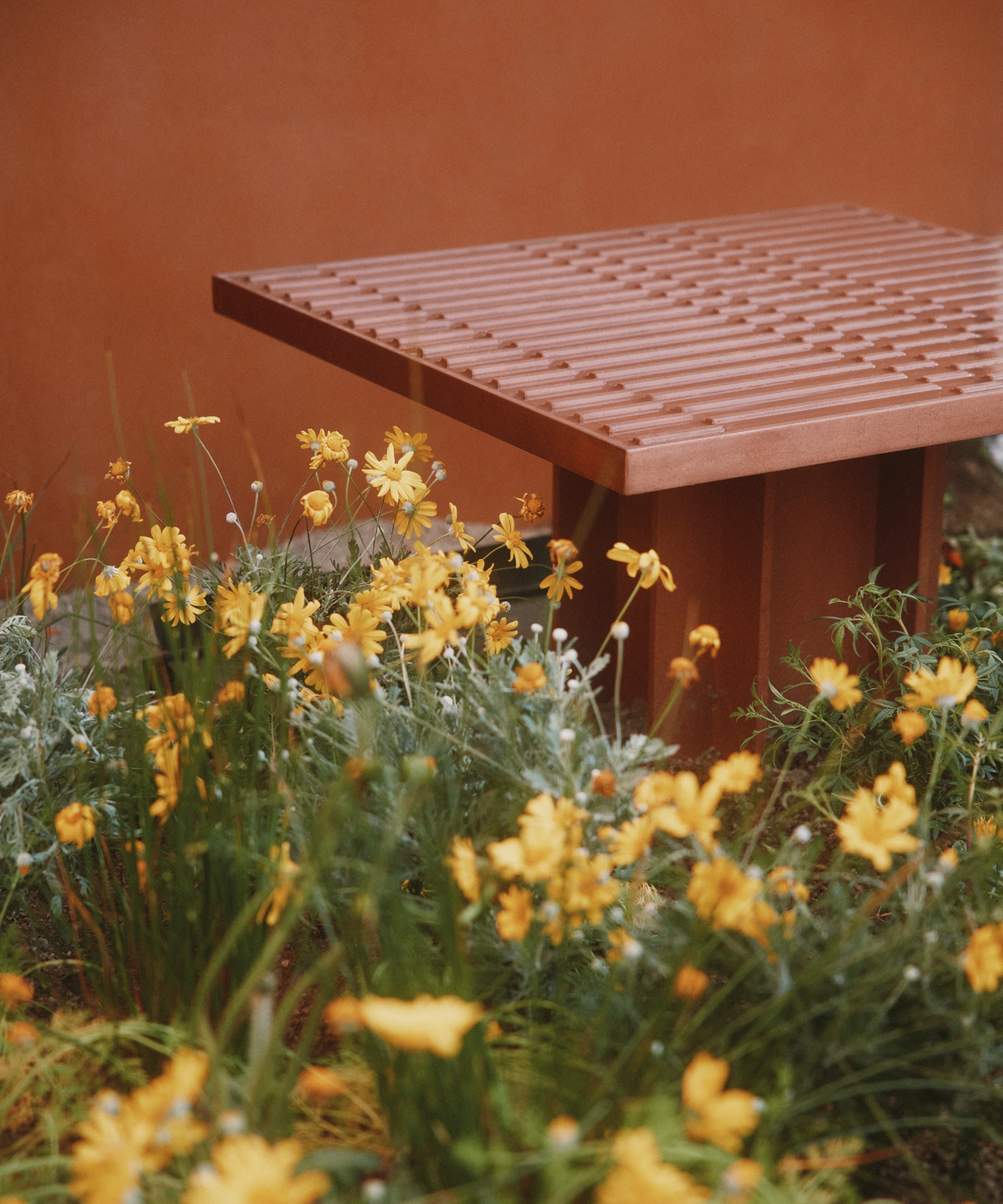 A brown slatted bench sits behind a cluster of yellow flowers, set against an orange wall—a scene inspired by Milan Design Week's celebration of sustainable products.