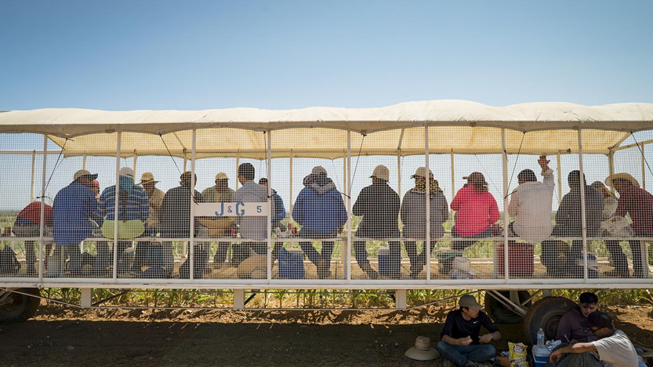 A group of people sit closely together under a covered trailer in a field, facing away from the camera, as if discussing MOS’s New Book On Public Spaces, with two individuals sitting on the ground nearby.