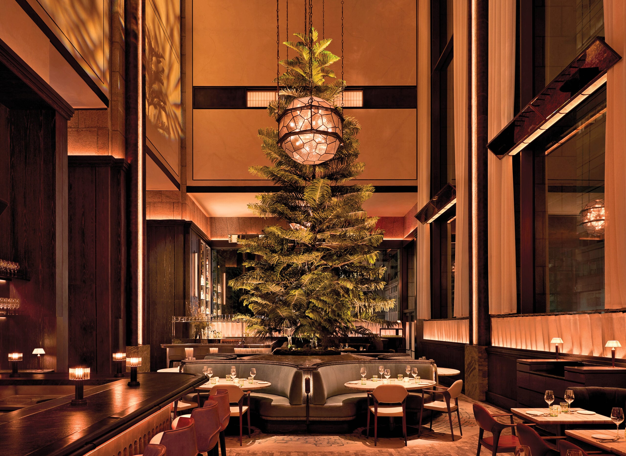 A modern restaurant dining area with a large pine tree centerpiece, warm lighting, round tables, and tall windows.