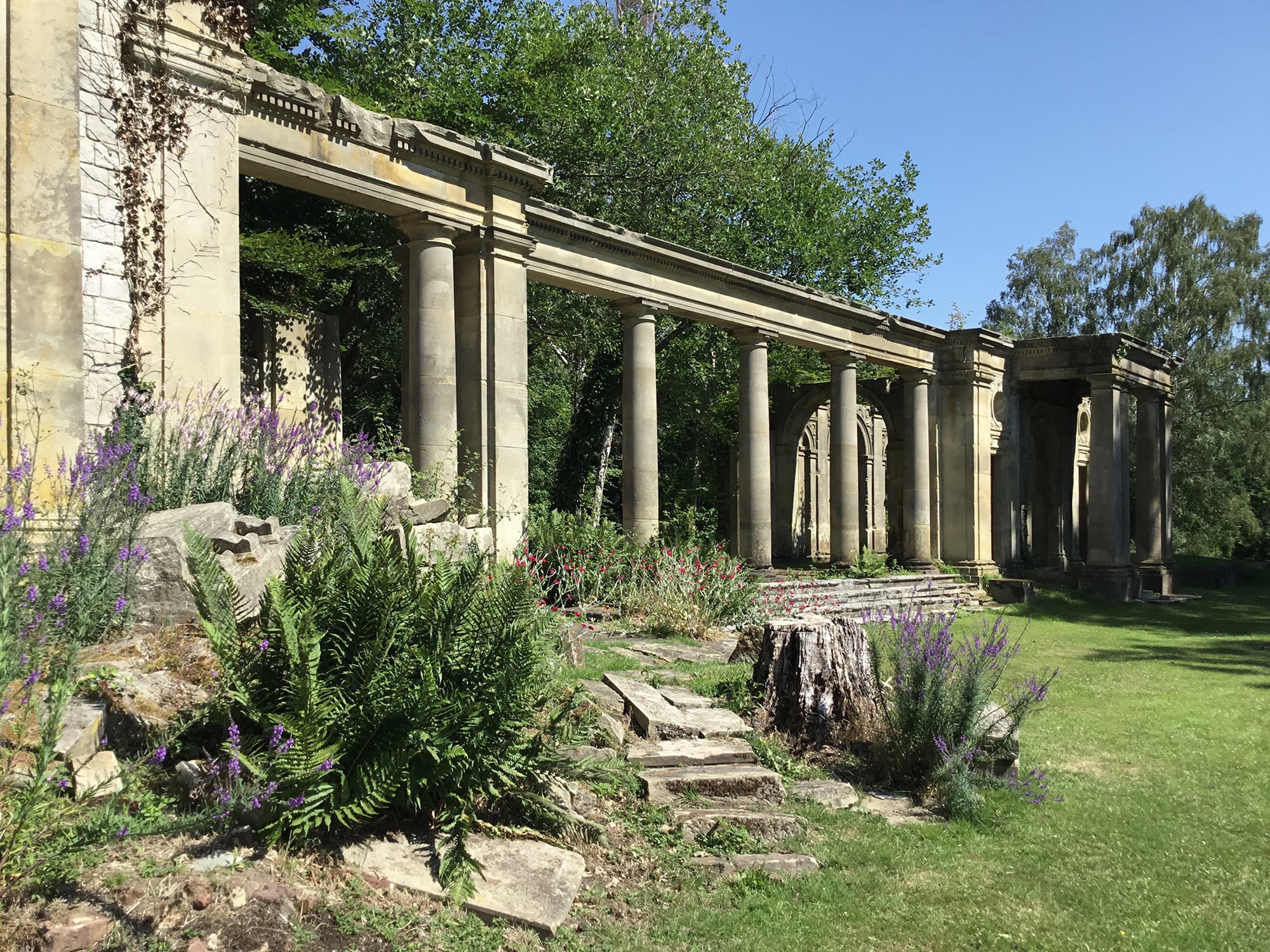 Ruins of a classical-style stone colonnade surrounded by grass, ferns, wildflowers, and trees under a clear blue sky.