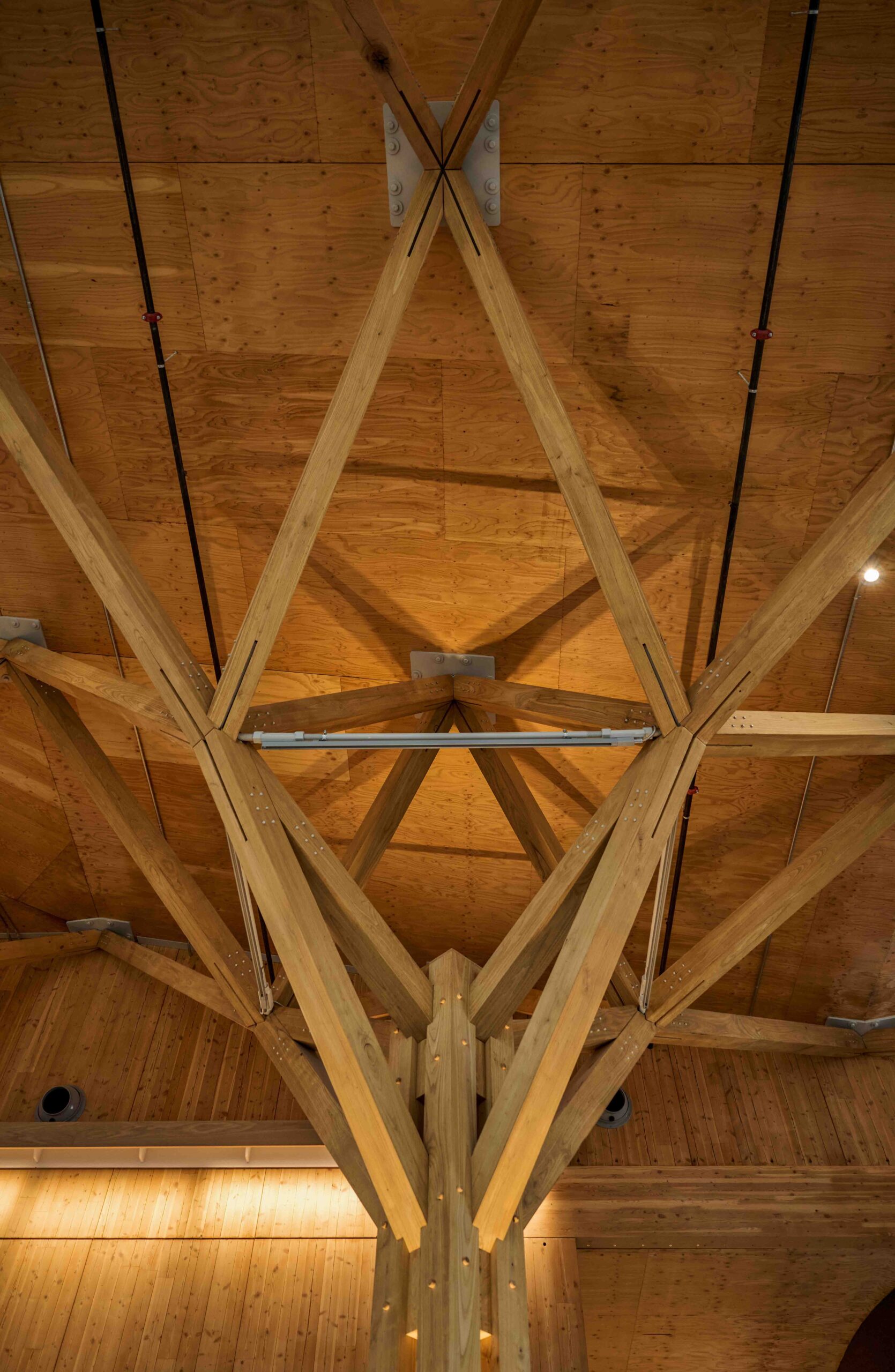 Ceiling view of timber beams joined in a geometric pattern, supporting a wooden roof structure with visible metal connectors and light fixtures.
