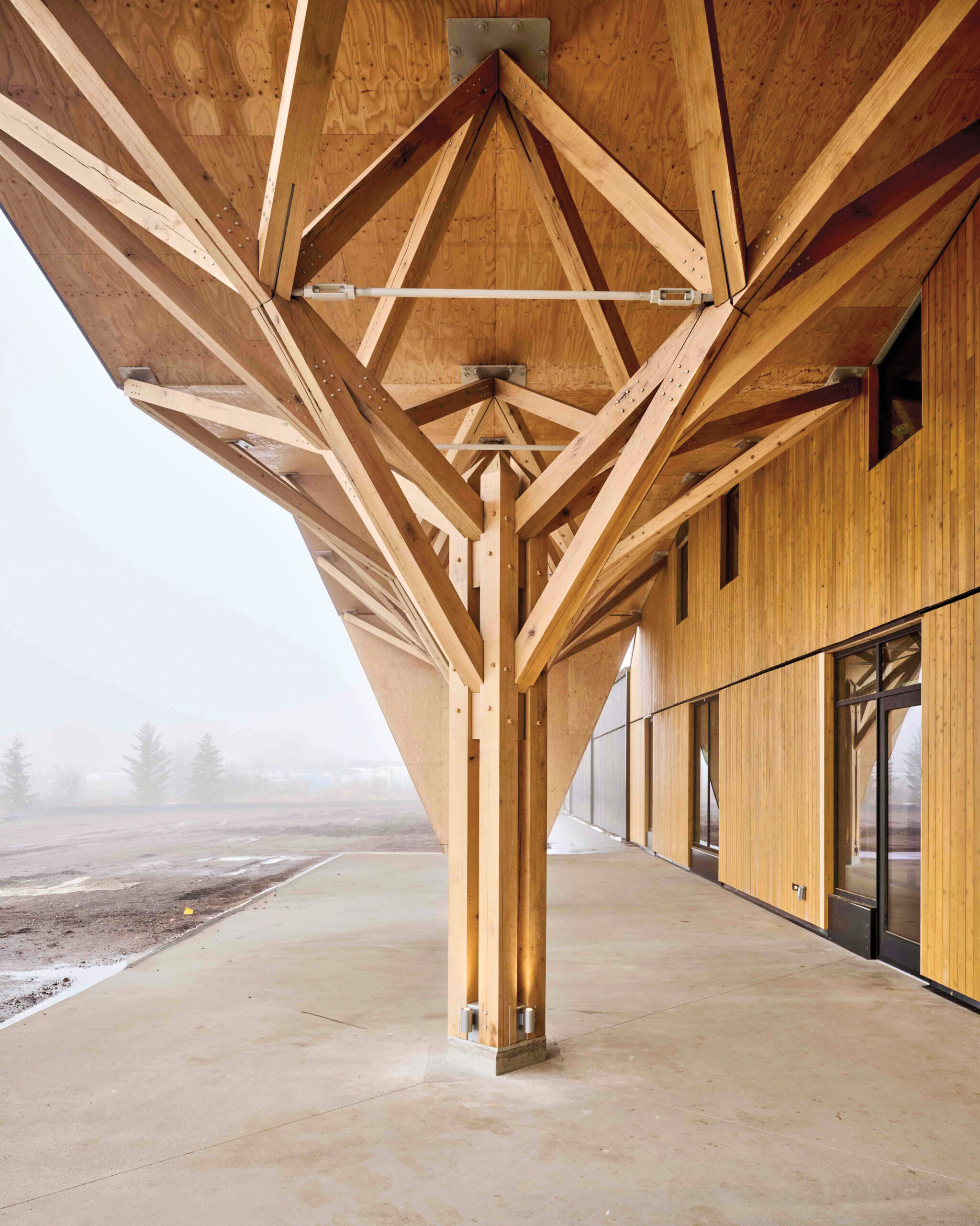 A wooden canopy of Leers Weinzapfel museum with exposed beams forms a tree-like support structure.