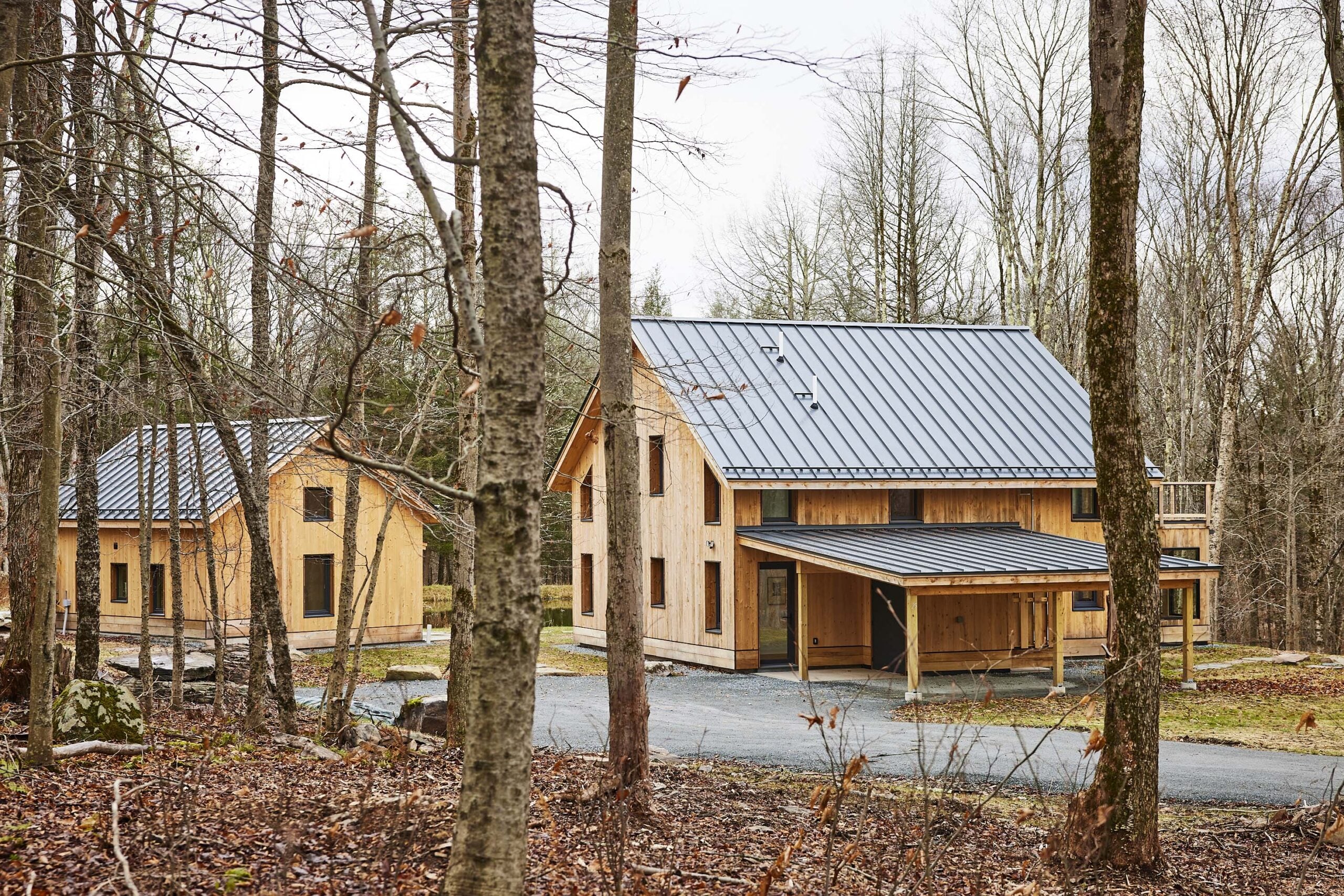 Two modern wooden houses with metal roofs are situated in a leafless forest setting, connected by a gravel driveway on an overcast day.