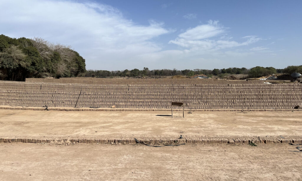 Rows of clay bricks are laid out to dry in the sun on a flat, open field—an authentic scene that reflects the essence of Latin Matter—with trees in the background under a partly cloudy sky.