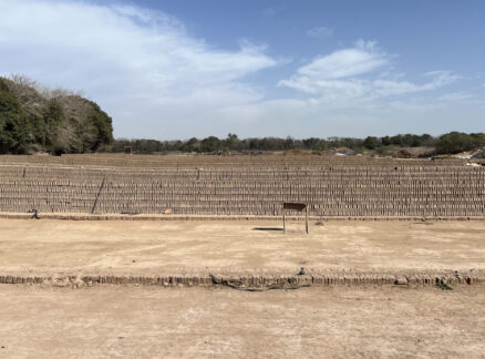 Rows of clay bricks are laid out to dry in the sun on a flat, open field—an authentic scene that reflects the essence of Latin Matter—with trees in the background under a partly cloudy sky.