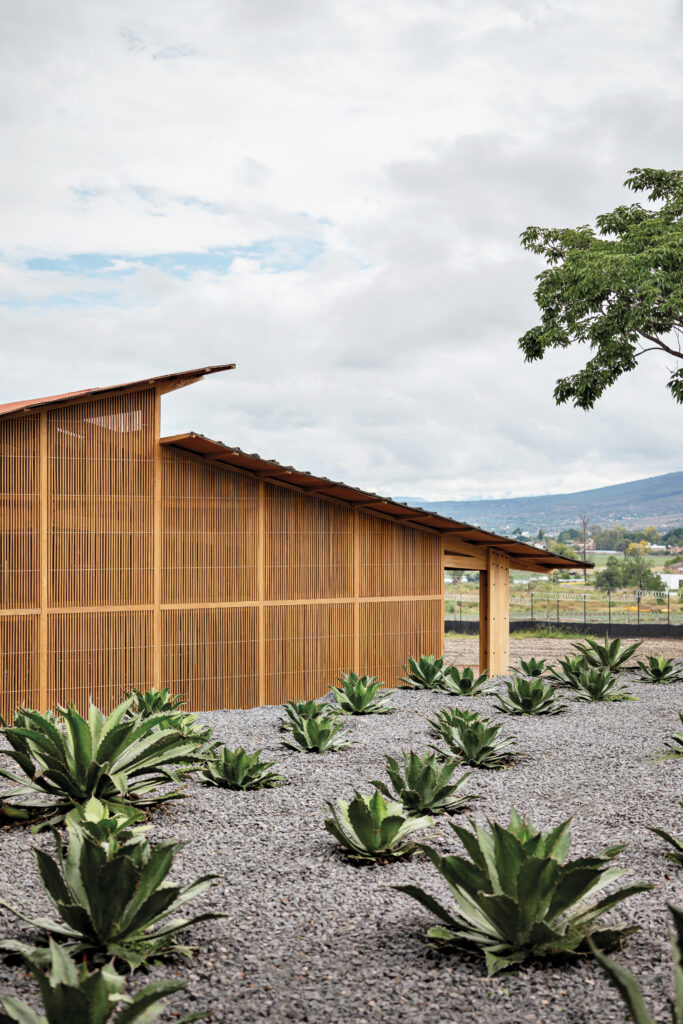 A modern Neri&Hu building with wooden slatted walls stands behind rows of agave plants in a gravel-covered yard under a partly cloudy sky.