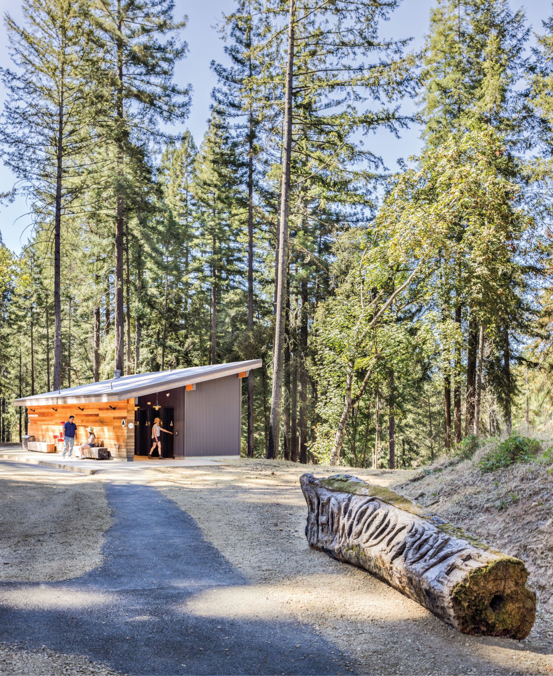 A small modern cabin at at camp for the blind with a sloped roof stands among tall pine trees; a carved log rests beside a paved pathway leading to the cabin's entrance.