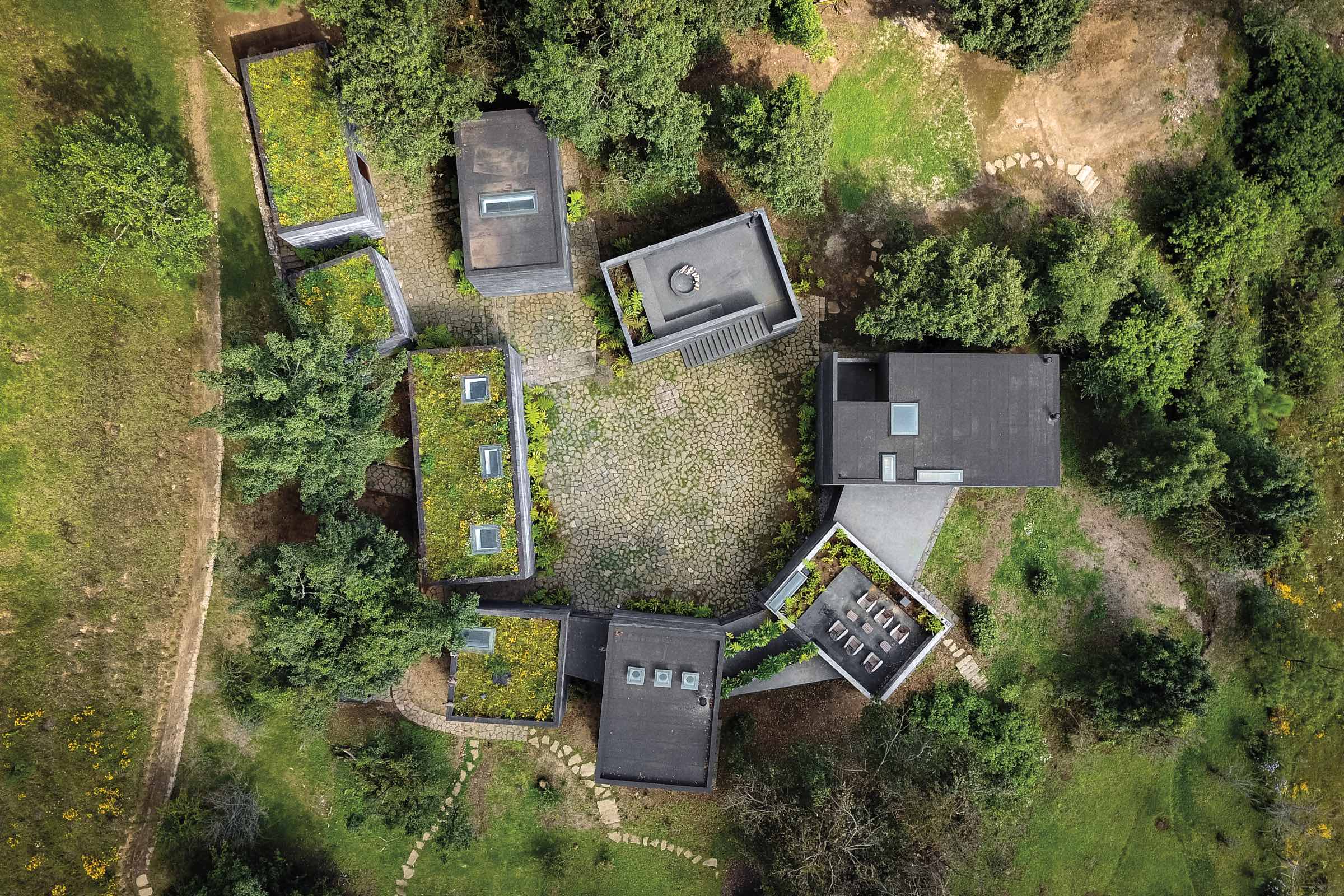 Aerial view of modern buildings arranged in a circular layout by Fernanda Canales, surrounded by greenery, with some rooftops featuring grass and skylights.
