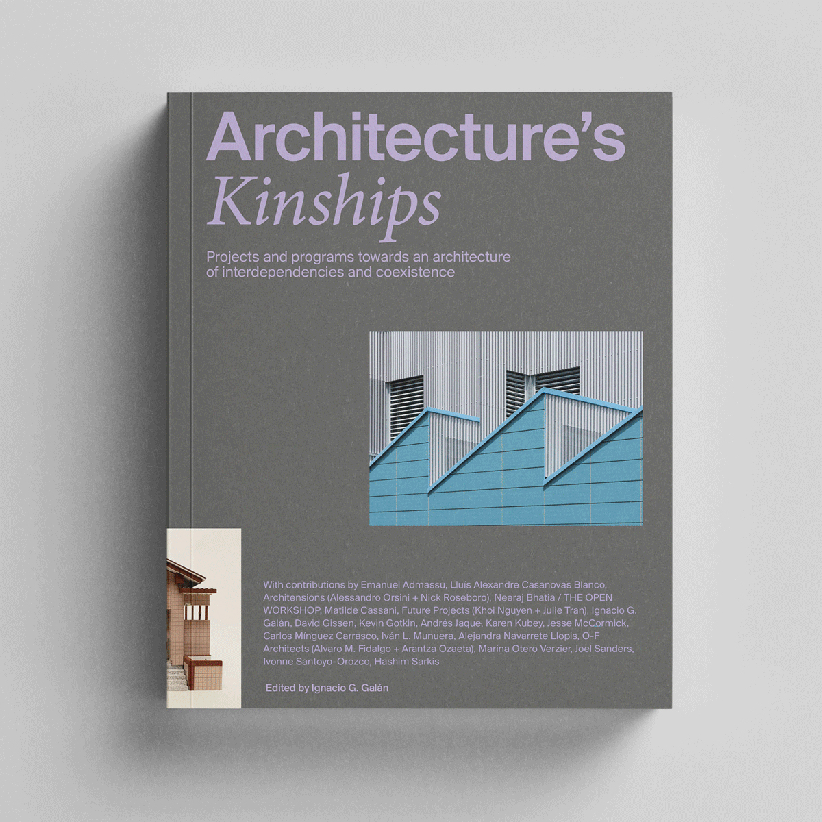 Architecture's Kinships: An Architecture of Interdependencies and Coexistence