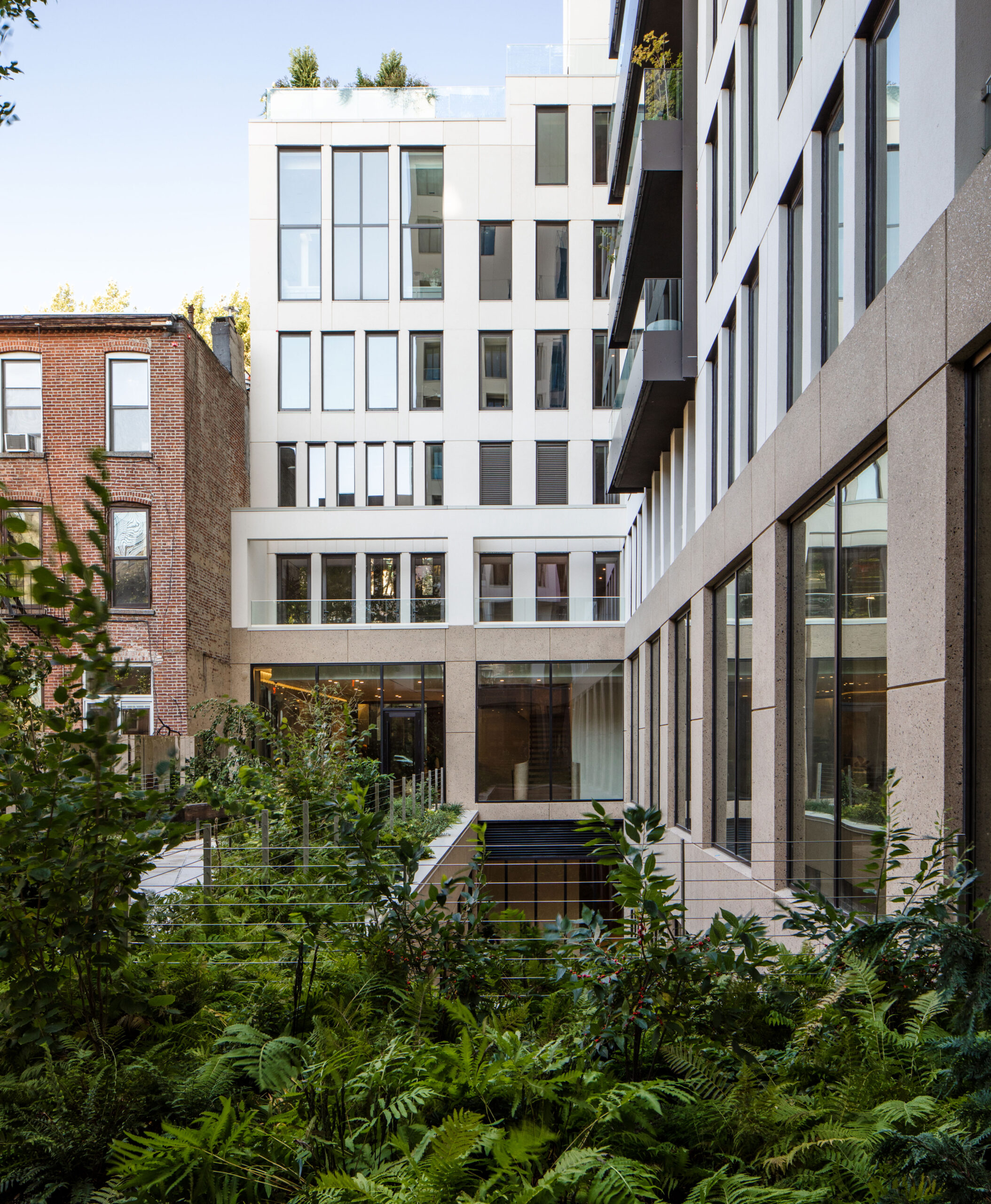 Contemporary multi-story building with large windows, adjacent to a brick structure. Dense green foliage fills the courtyard area in the foreground.
